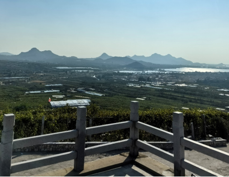 http://m.nadehuo.cn平度大澤山葡萄園引進(jìn)萊恩德土壤肥料檢測(cè)儀， 輕松掌握土壤營(yíng)養(yǎng)